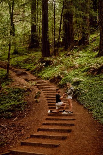 Muir Woods Proposal