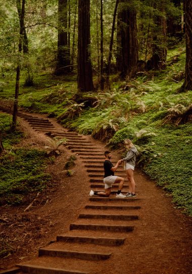 Muir Woods Proposal