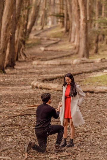 Lovers Lane Proposal