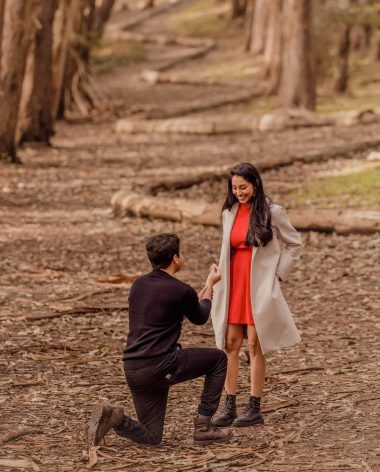 Lovers Lane Proposal